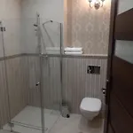 Ostoja