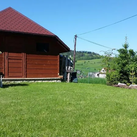 Ostoja